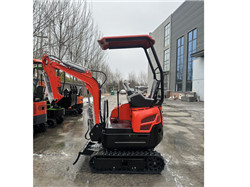 _Distributor takeuchi skid steer price new